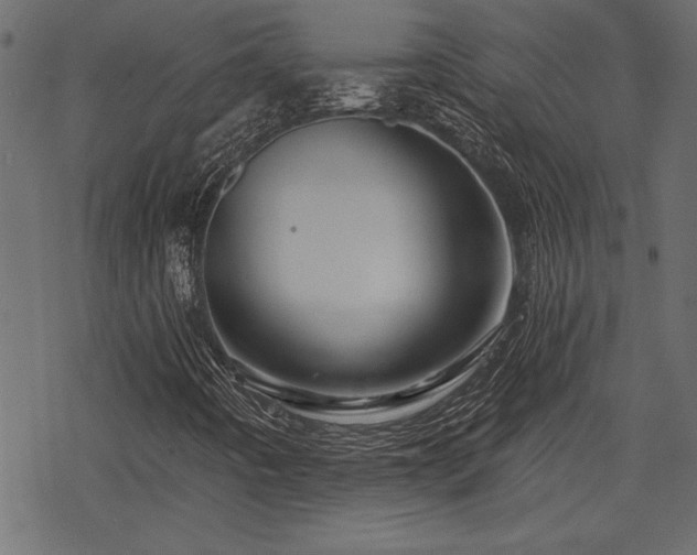 X0000078251442200611031126