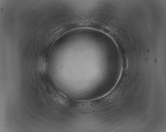 X0000078251444200611031126