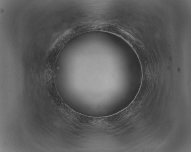 X0000078251447200611031126