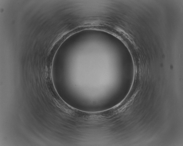 X0000078251449200611031126