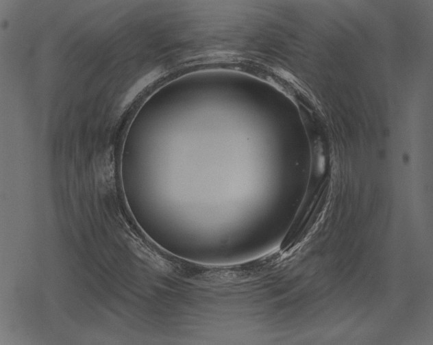 X0000078251450200611031126
