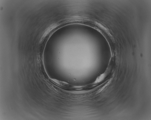 X0000078251453200611031125