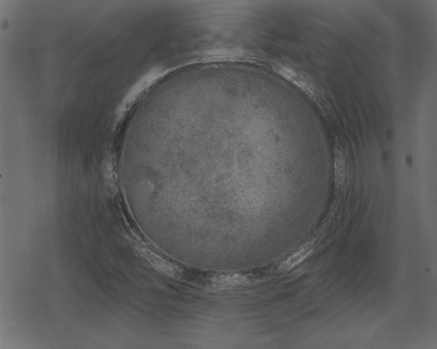 X0000078251454200611031125