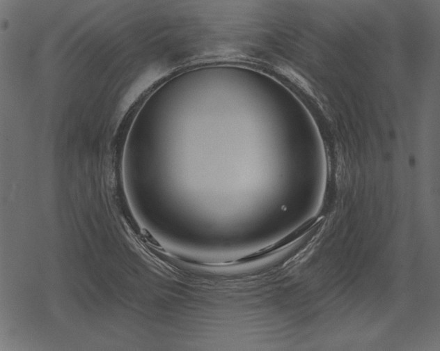 X0000078251458200611031125