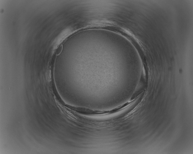 X0000078251459200611031125