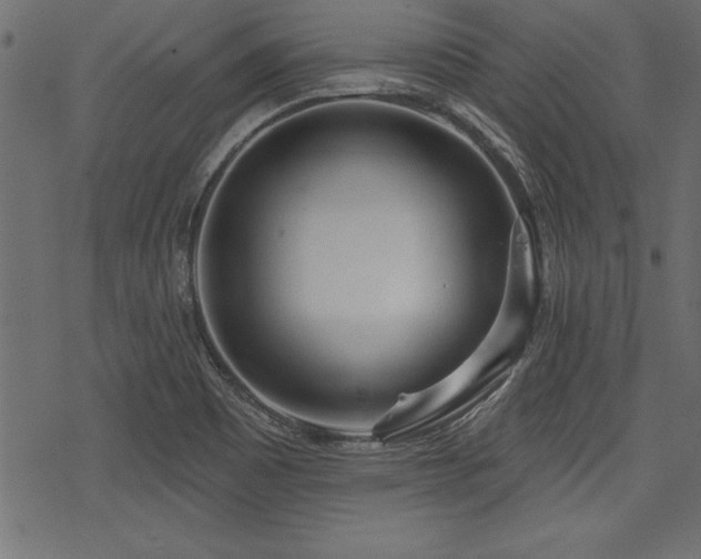 X0000078251465200611031125