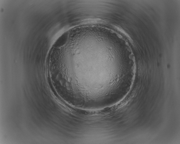 X0000078251467200611031125