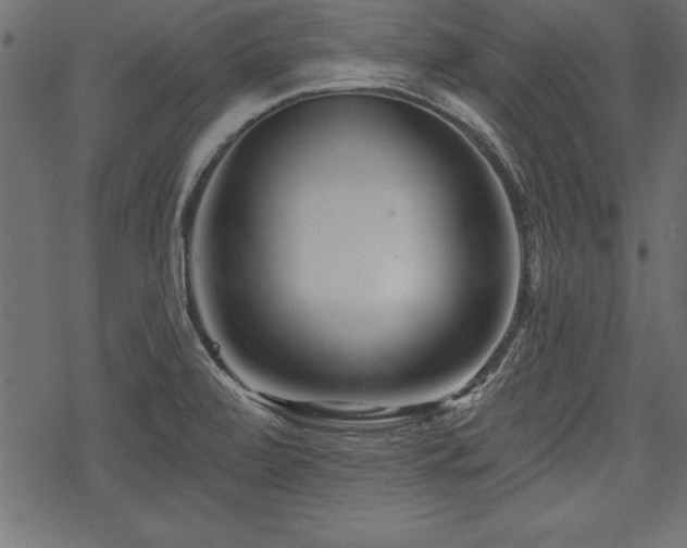 X0000078251472200611031125