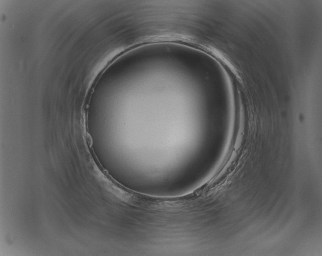 X0000078251476200611031125