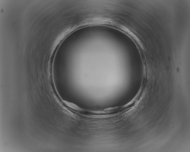 X0000078251477200611031125