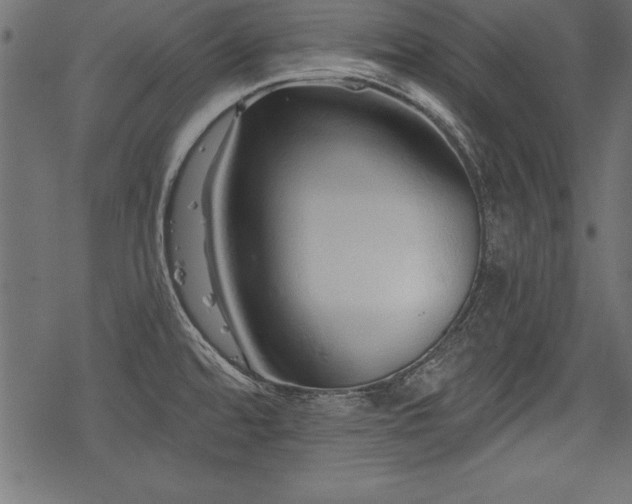 X0000078251480200611031125