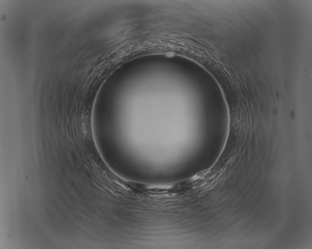 X0000078251490200611031124