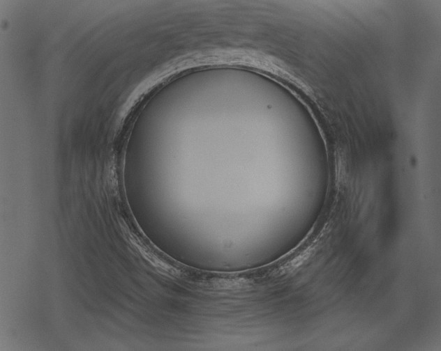 X0000078251498200611031124