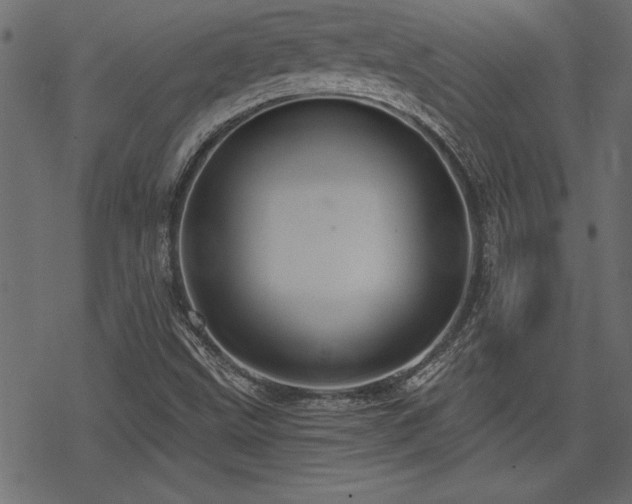 X0000078251499200611031124
