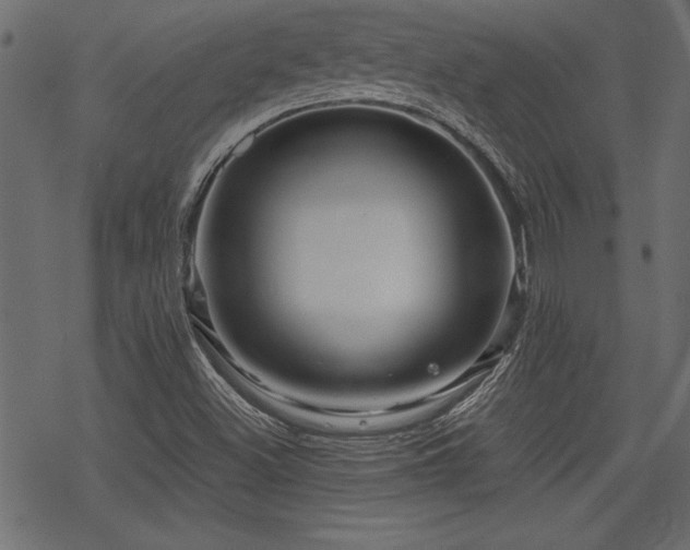 X0000078251500200611031124
