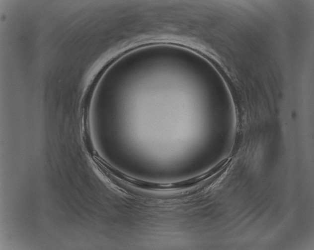 X0000078251511200611031124
