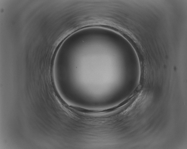 X0000078251513200611031125