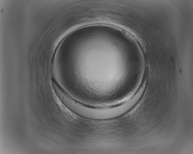 X0000078251534200611031125