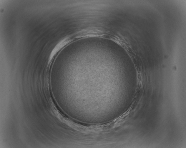 X0000078250004200611101022