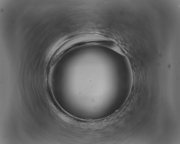 X0000078250005200611101022