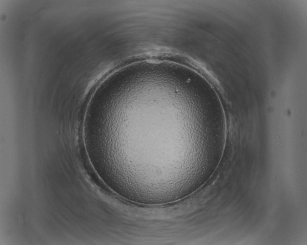 X0000078250010200611101021