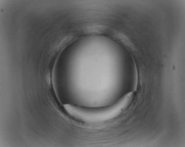 X0000078250021200611101021