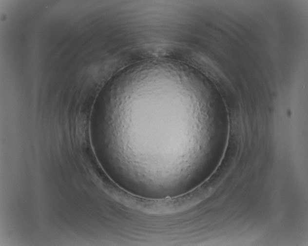 X0000078250030200611101021