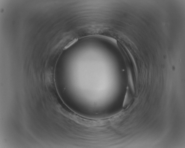 X0000078250035200611101021