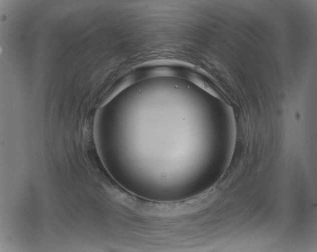 X0000078250037200611101021