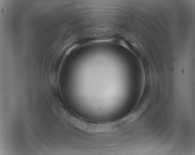 X0000078250044200611101021