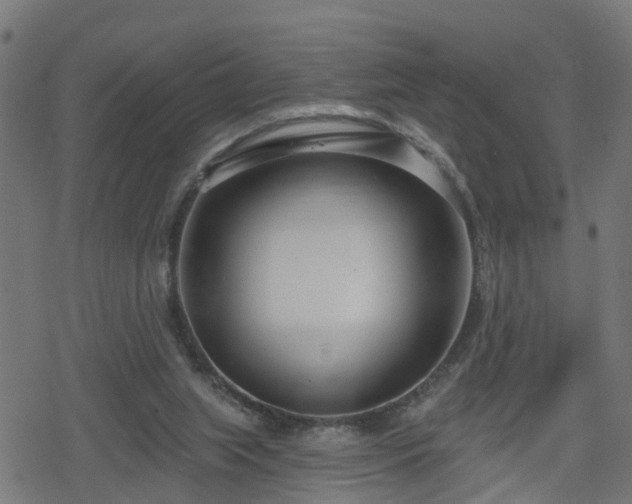 X0000078250063200611101020