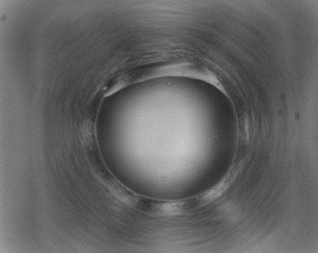 X0000078250184200611101019