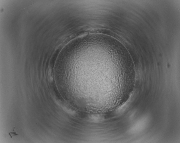 X0000078250187200611101019