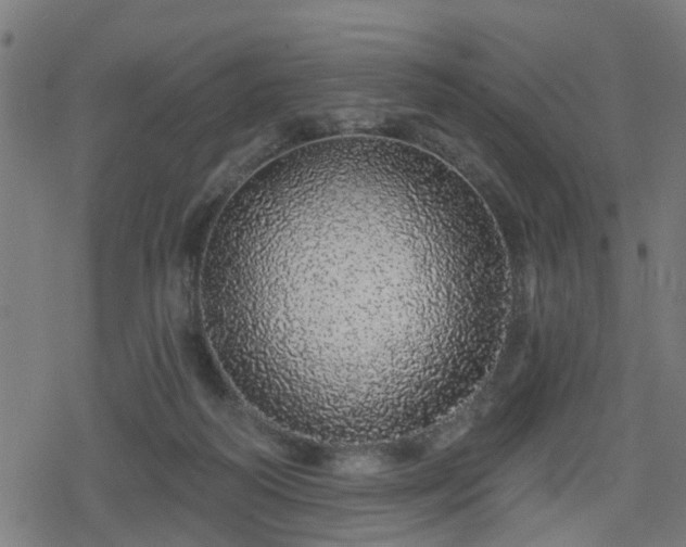 X0000078250218200611101018