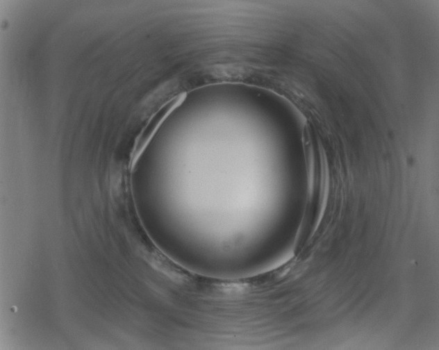 X0000078250233200611101018