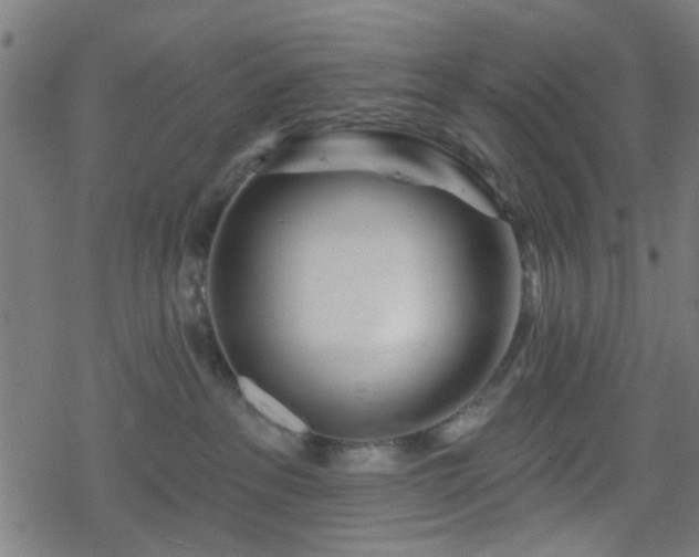 X0000078250237200611101018