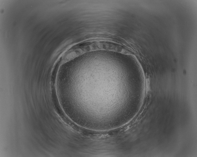 X0000078250243200611101017