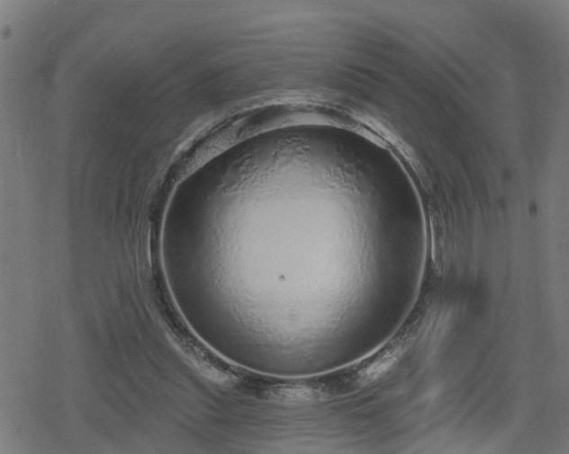 X0000078250253200611101017