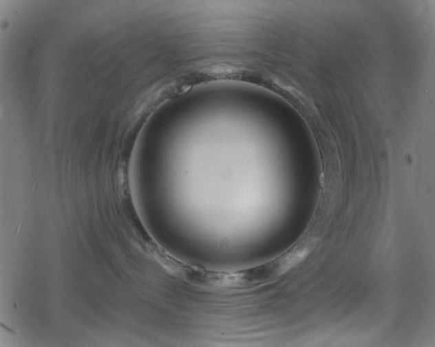X0000078250288200611101018
