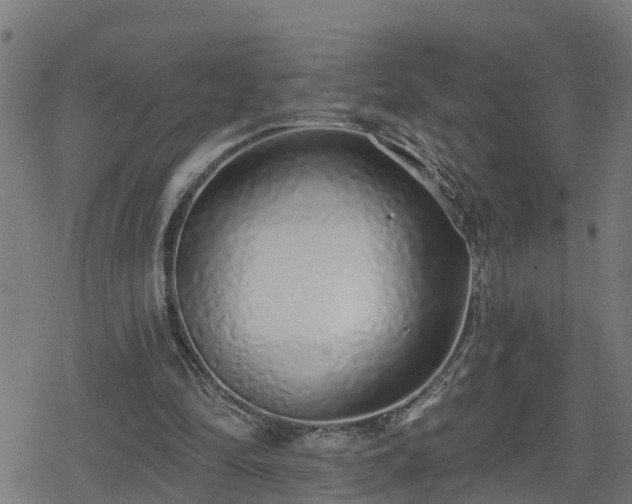X0000078250294200611101017