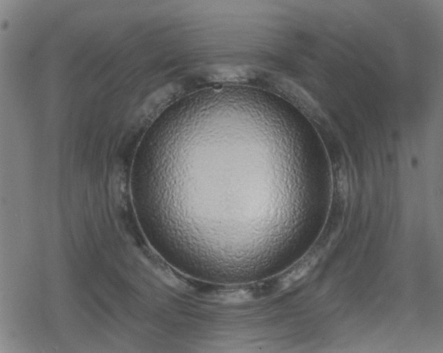 X0000078250322200611101016