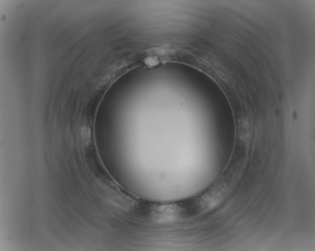 X0000078250324200611101016