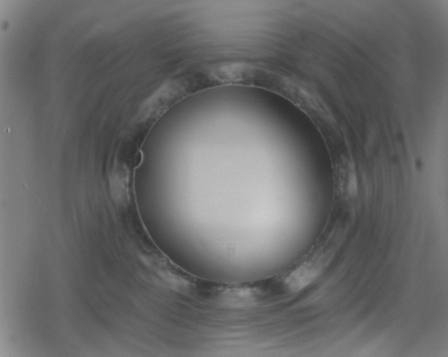 X0000078250332200611101016