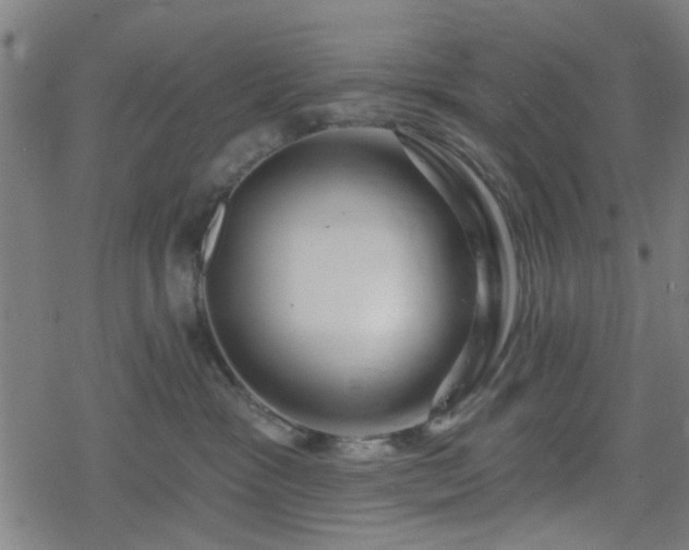 X0000078250333200611101016
