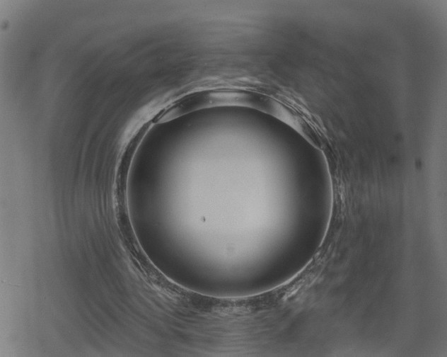 X0000078250340200611101015