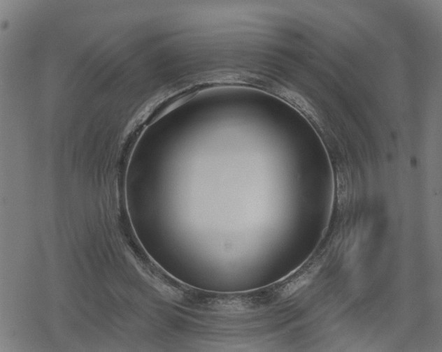 X0000078250349200611101016