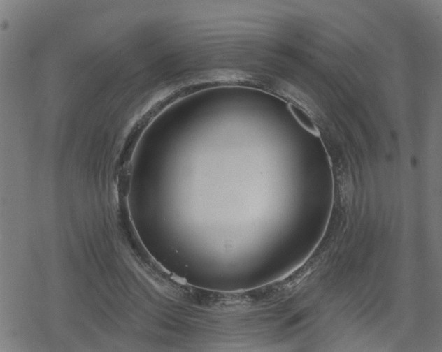 X0000078250350200611101016