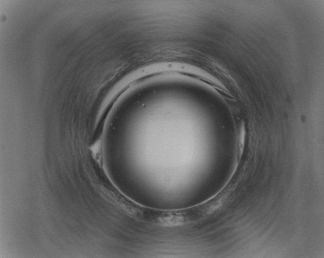 X0000078250362200611101016