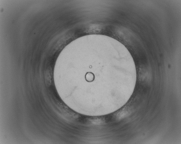 X0000078250370200611101016