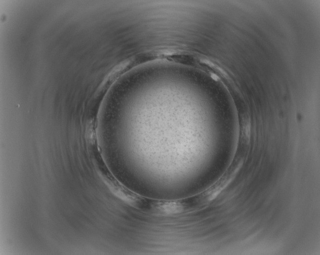 X0000078250383200611101016